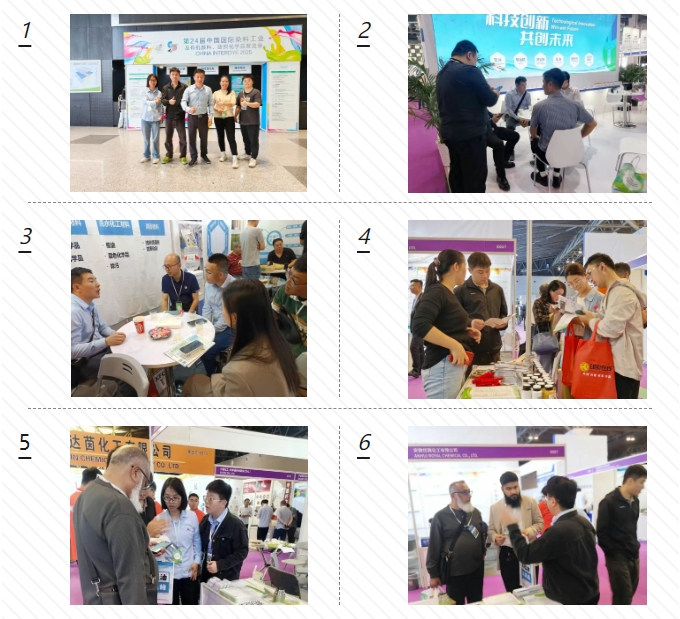 双展凯旋 赋能全球 | 君鑫化工2025越南、上海双展圆满收官！